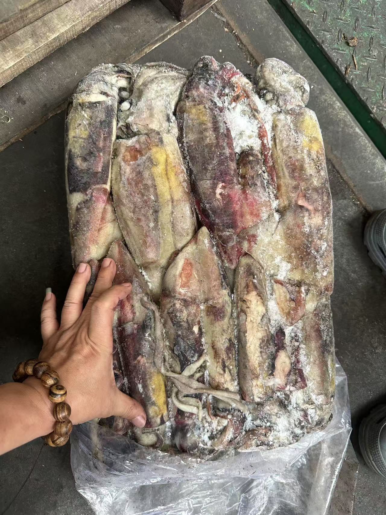 black squid from INDONISIA