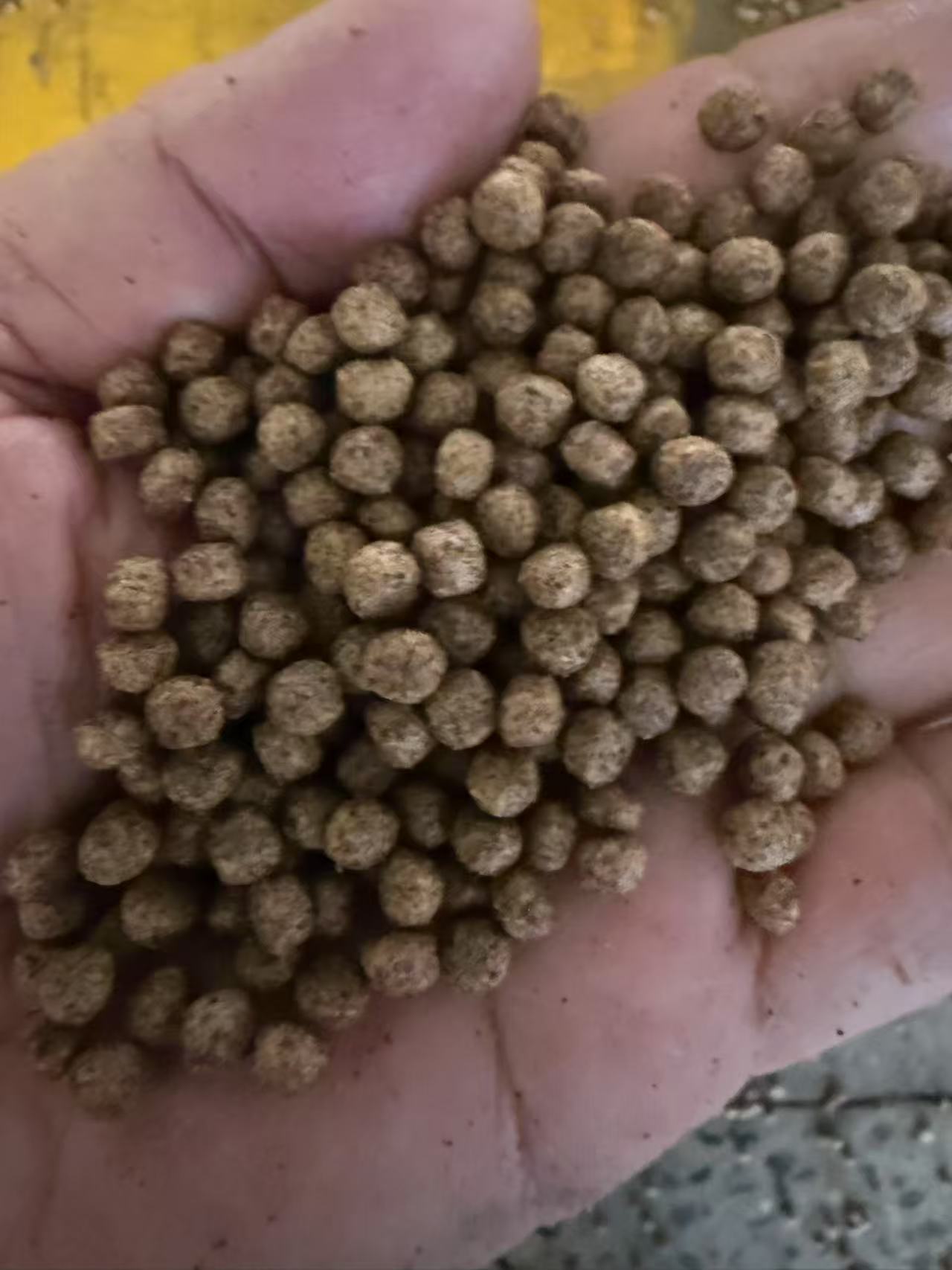 High Protein Floating Pellet Catfish Feed or Tilapia Fish Feed Ready For Export