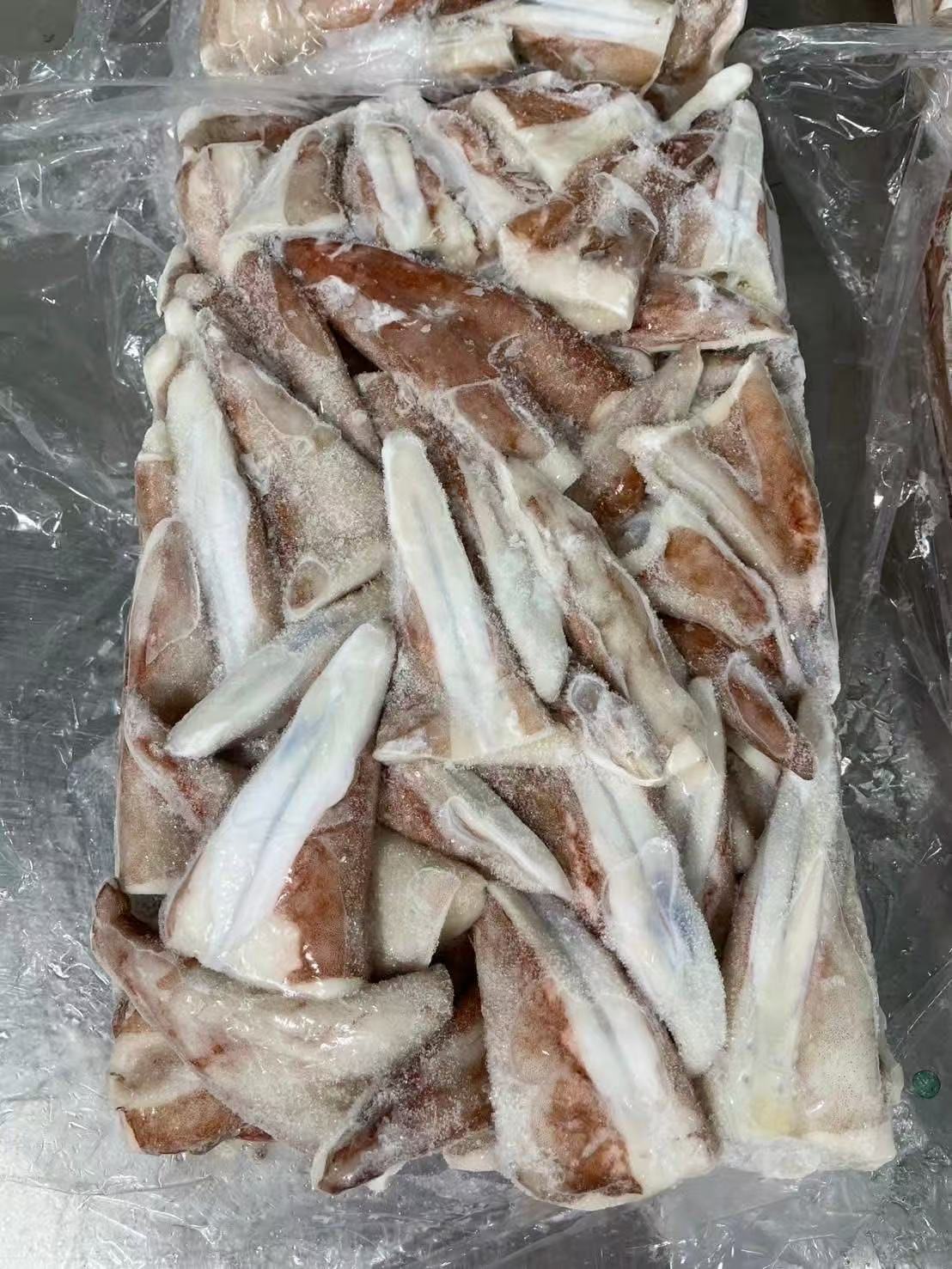 PERU SQUID TAIL