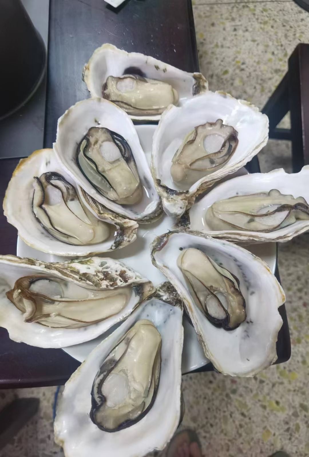 HALF SHELL OYSTER