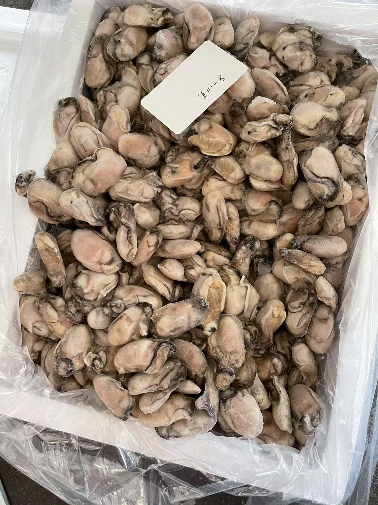 OYSTER MEAT