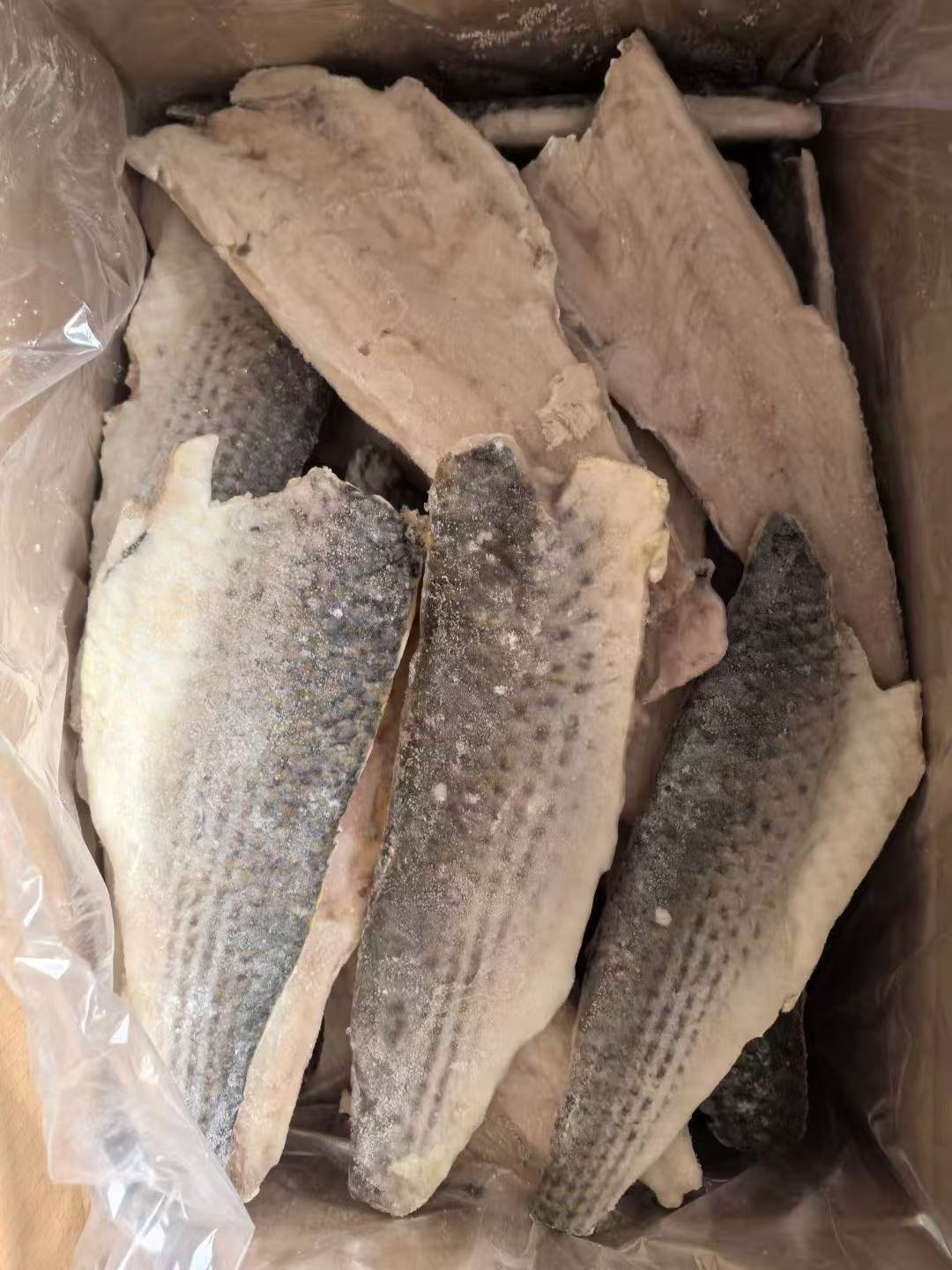 MULLET FILLET