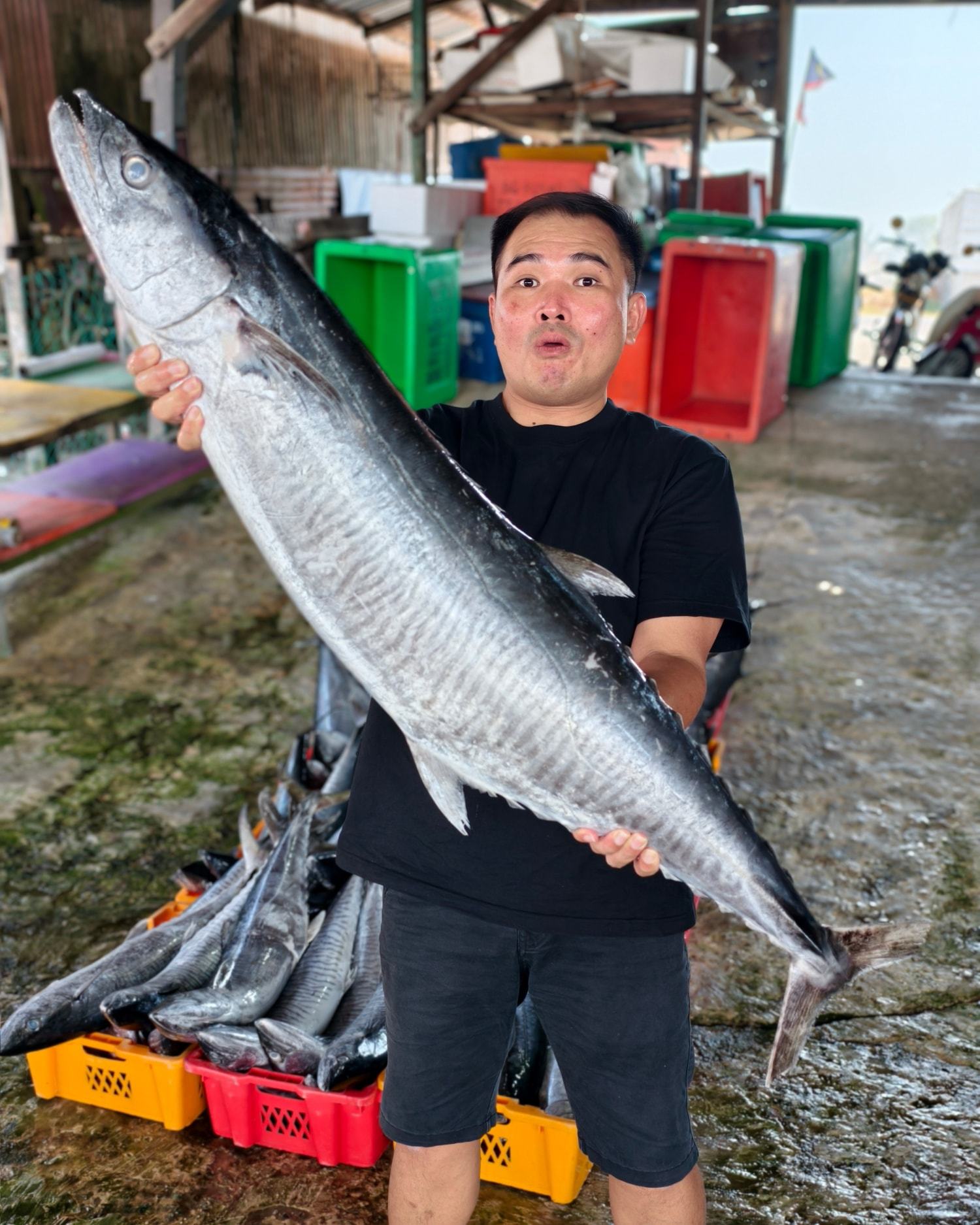 SPANISH MACKEREL