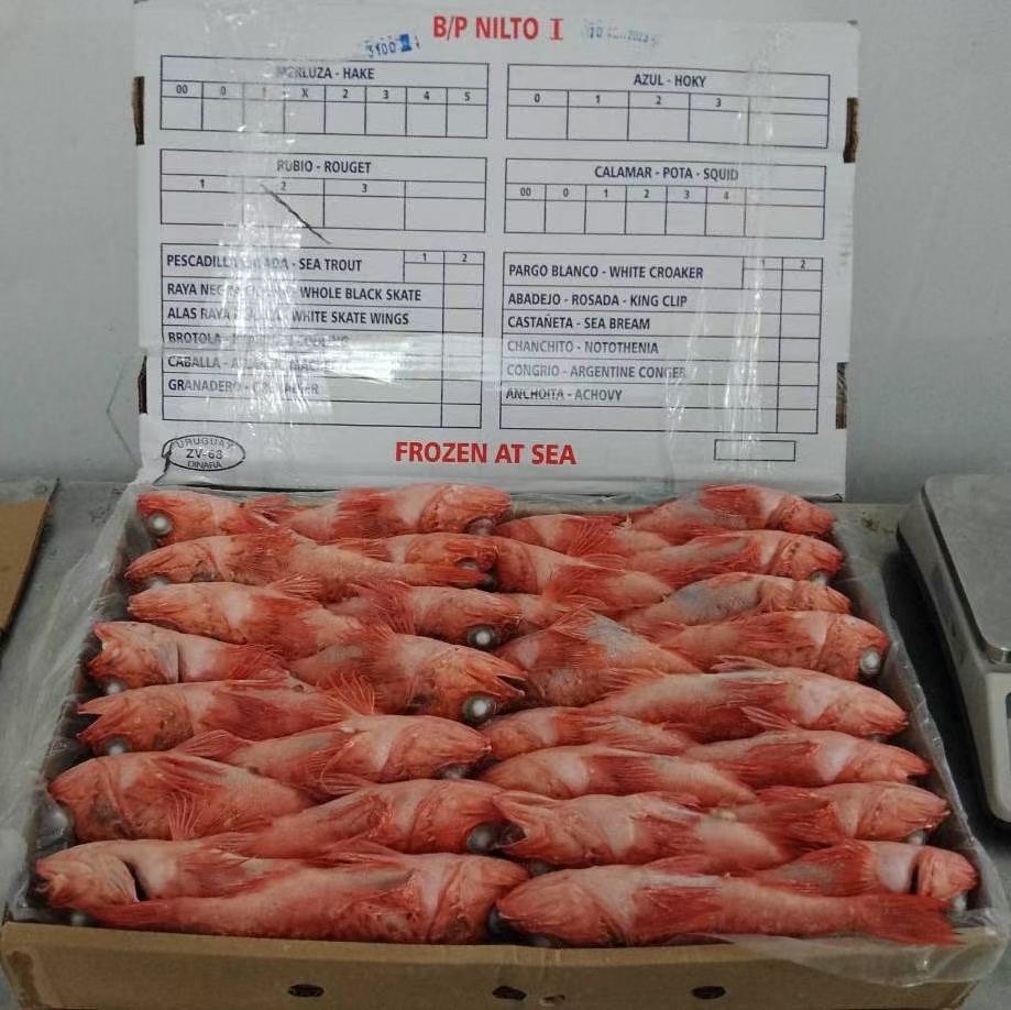 Uruguay redfish