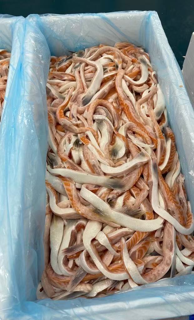 三文鱼腹条