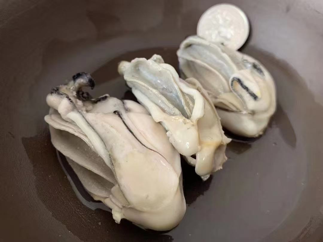 IQF Frozen Oyster Meat From China Boxed Freshwater Oysters