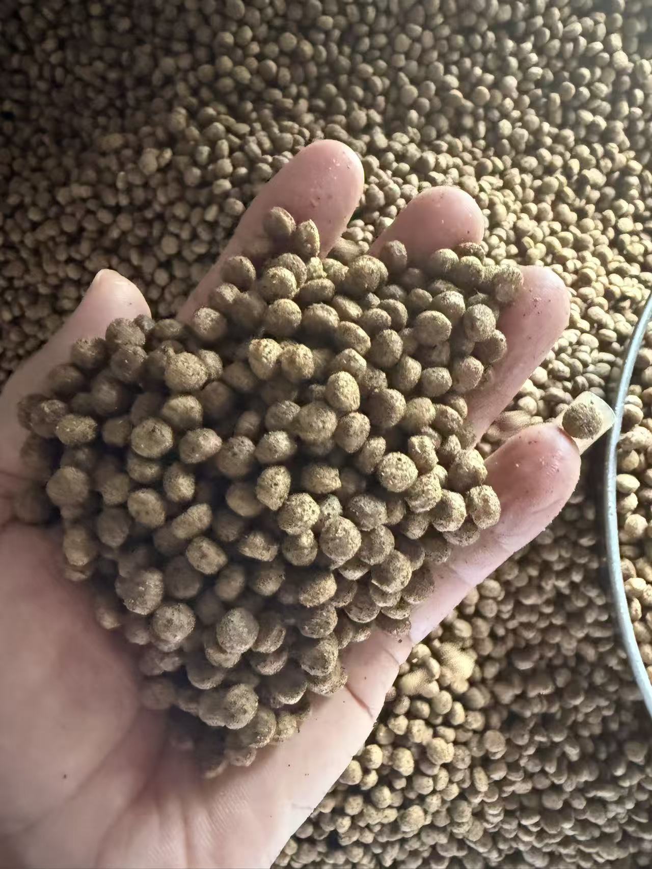 Factory Price Fish Food Wholesale Floating Fish Feed for Catfish,tilapia,trout