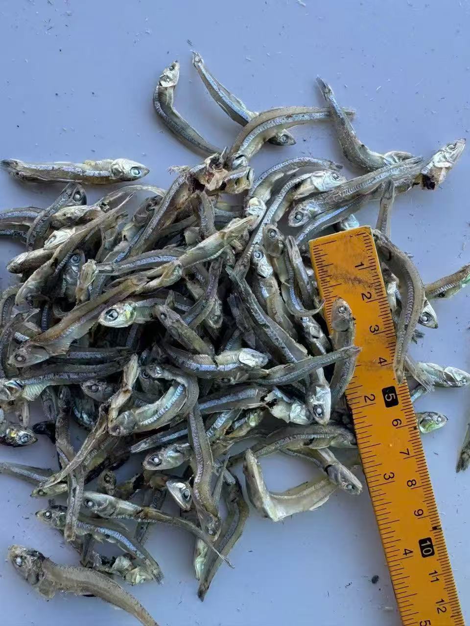 DRY ANCHOVY VIETNAM