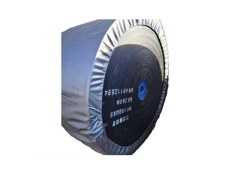 Conveyor belt