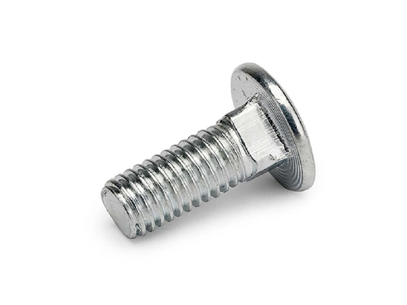 Carriage bolt