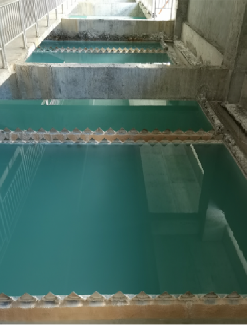 污水沉淀池 污水沉淀池