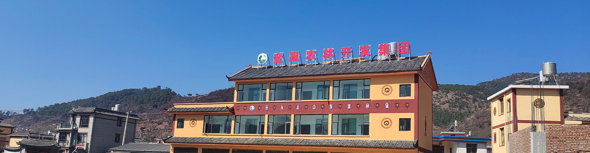 云南金贏農(nóng)林開發(fā)集團(tuán)有限責(zé)任公司