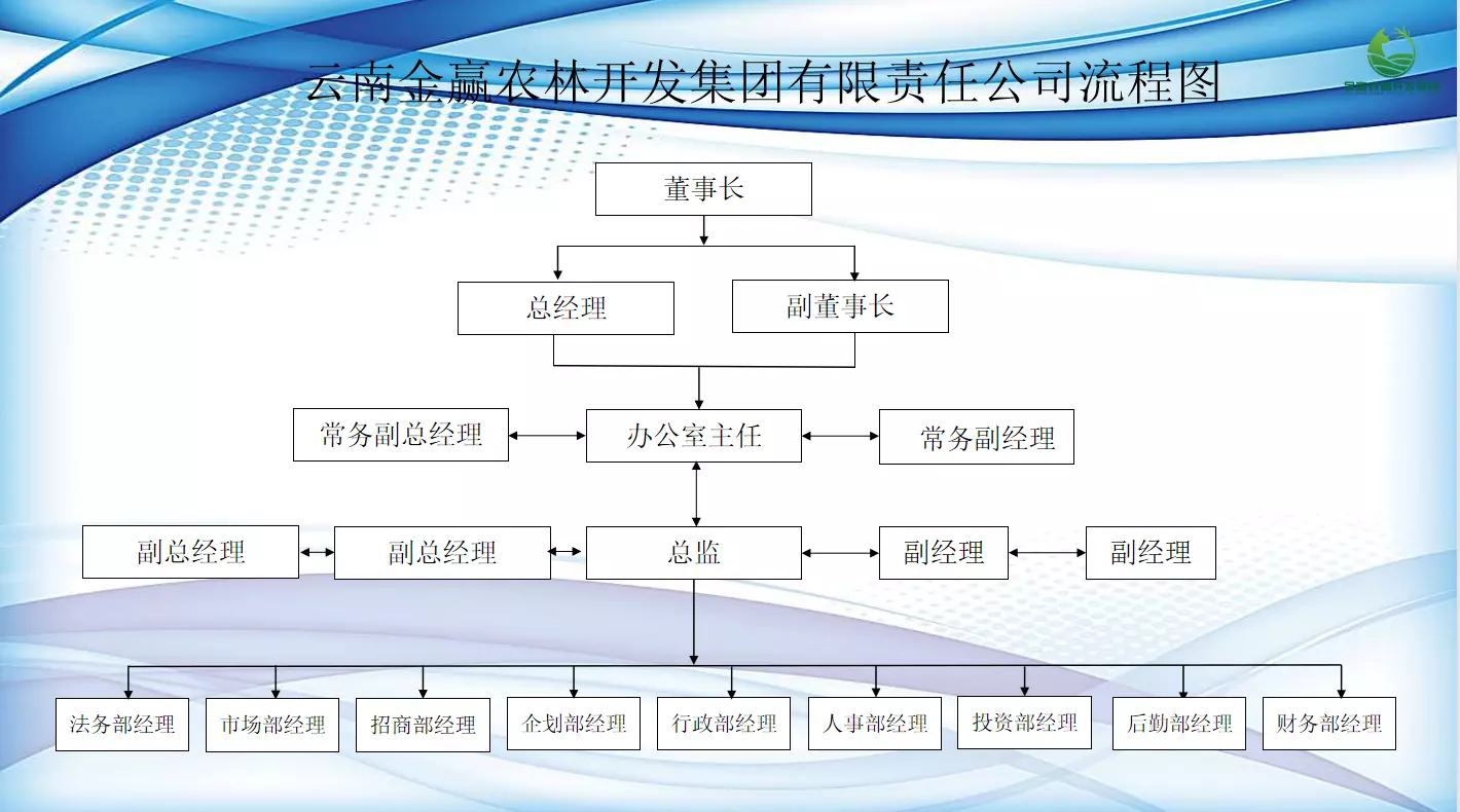 組織架構(gòu) 組織架構(gòu)
