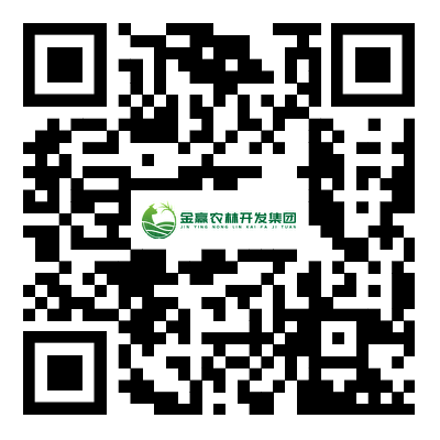 手機版網站 手機版網站