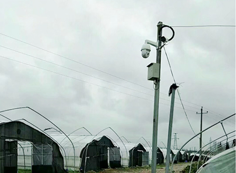 陜西漢中某種植基地報警