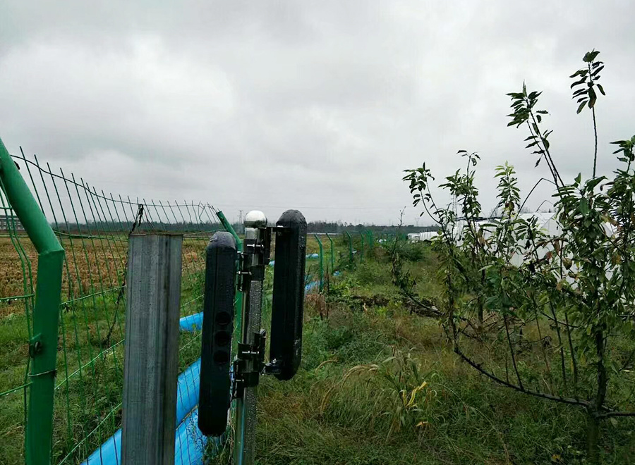 陜西漢中某種植基地報警