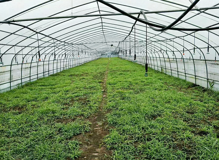 陜西漢中某種植基地報警
