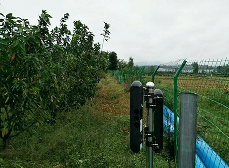陜西漢中某種植基地報警