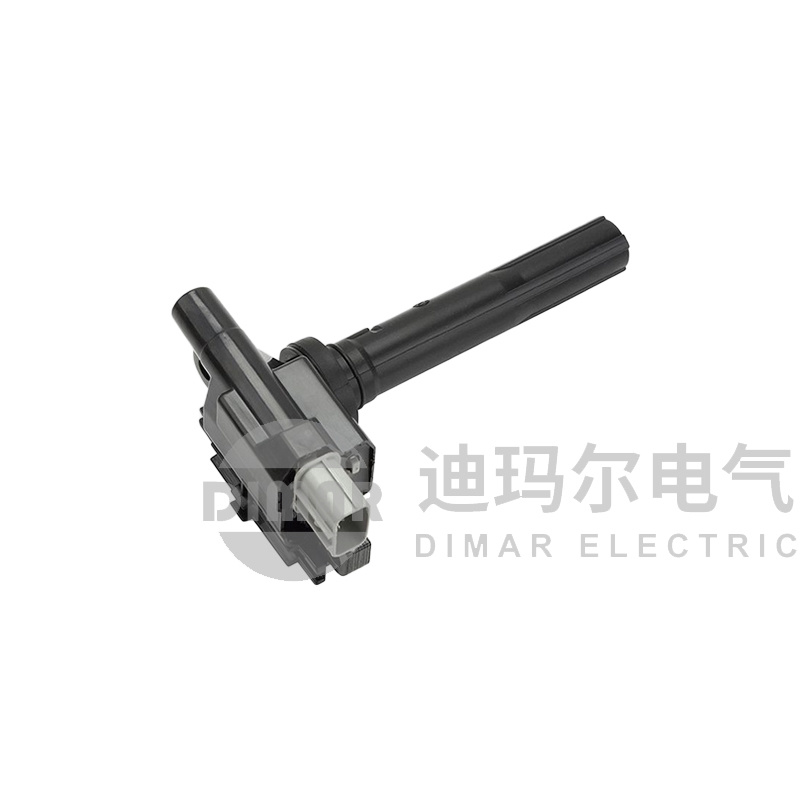 DMR2022