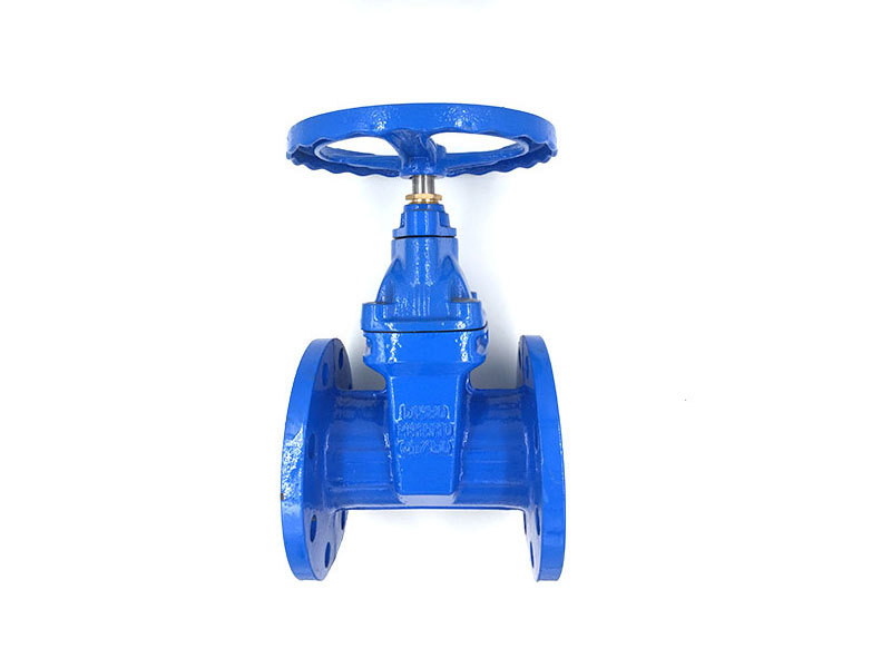 Knife gate valves