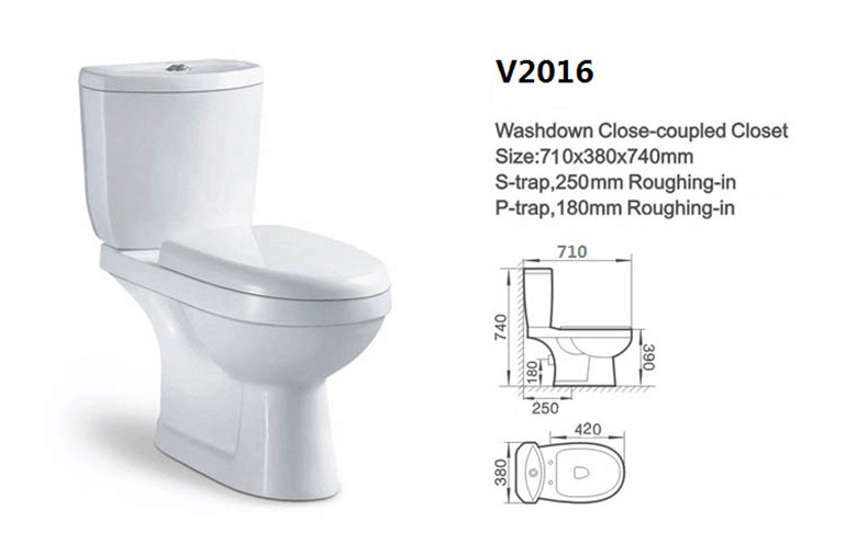 South American Split Siphon Two-Piece Toilet Trends
