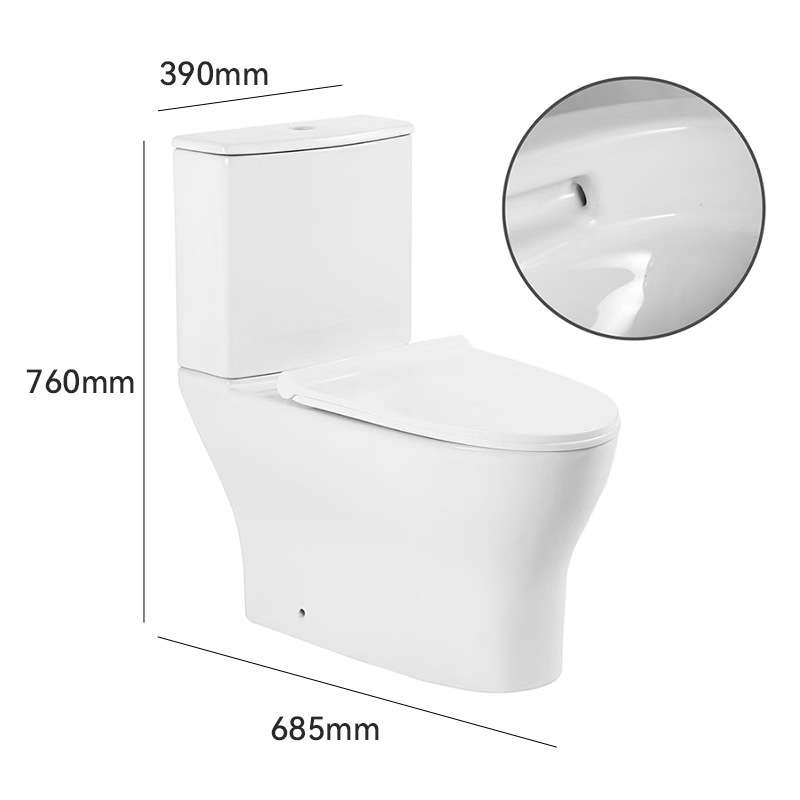 Siphon Split Floor Drain: Enhance Your Bathroom with a Two-Piece Toilet