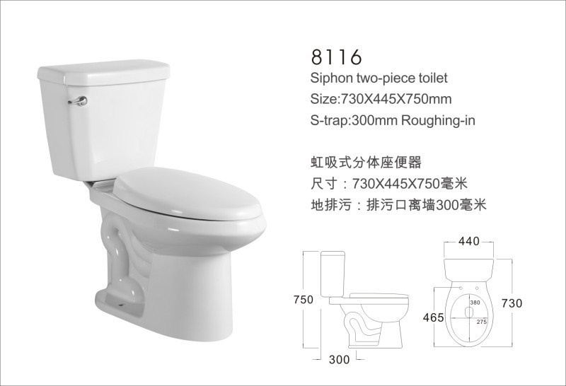 Double Press Flush: The Modern Two-Piece Toilet for Your Bathroom