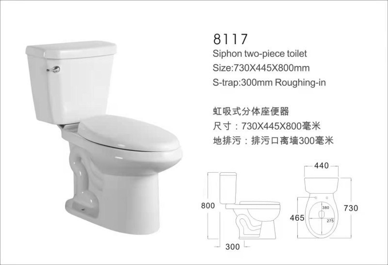 Hand Press Two-Piece Toilet: A Practical Choice for Wholesale