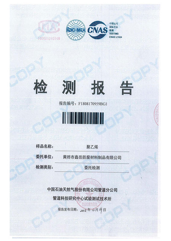 檢測報告