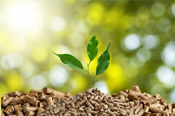 Biomass pellet: Environmental Pioneer, help the green future