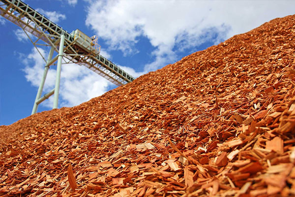 Biomass pellet raw materials show strong environmental protection forces