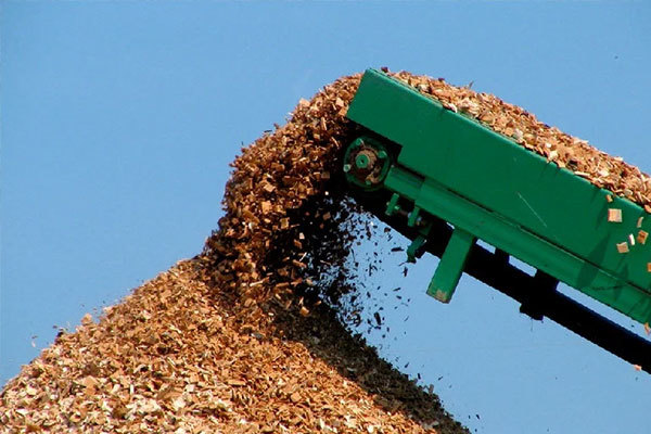 New life of abandoned wood: transformed into biomass materials