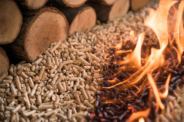 Biomass pellet combustion technology: environmental protection and efficient future energy solution