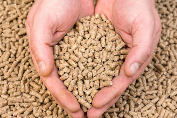 In -depth analysis of feed granules: What is it, why is it important?