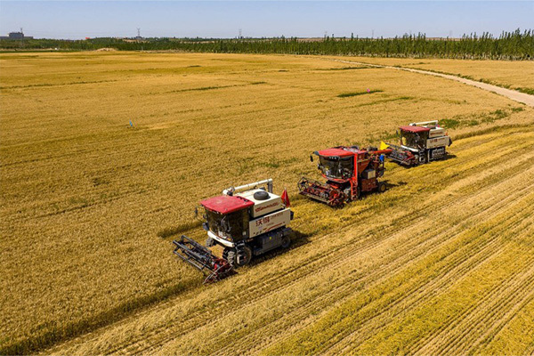 What are the main components and characteristics of pesticide emulsifiers?