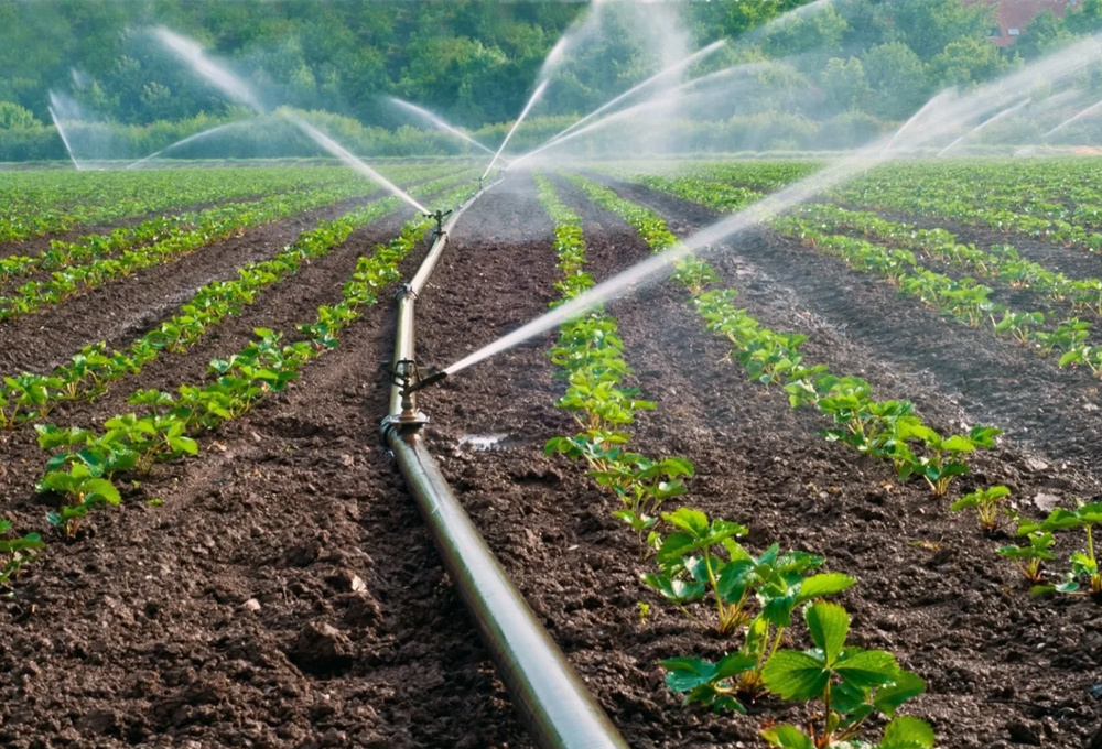 Agricultural irrigation field