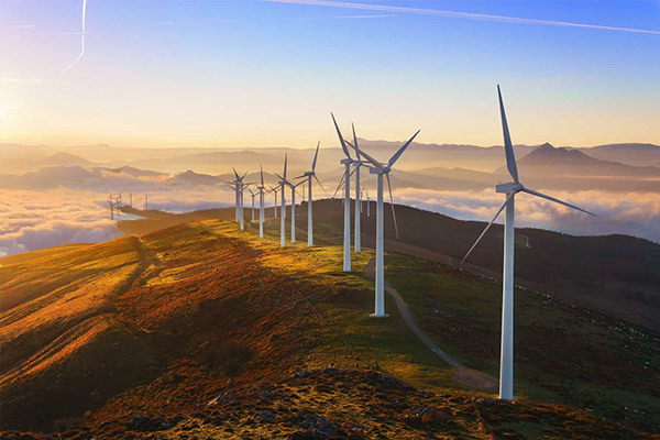 Scientific and technological innovation leads the future: close cooperation between bearing and wind turbine
