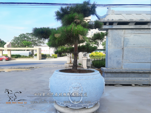 樹池花缽