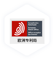 欧洲专利组织