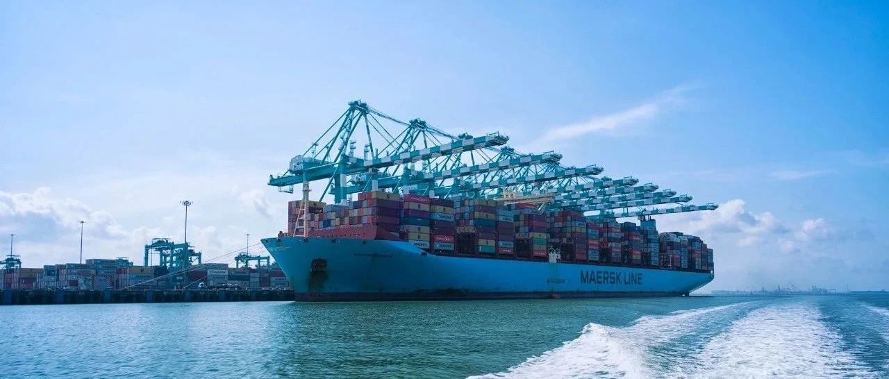 US-West freight rates have been plummeting, reaching figures in the twenties | Maritime export logistics