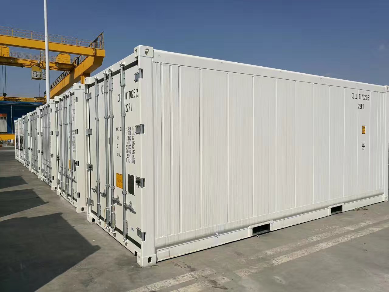 Refrigerated containers in international ocean freight: the key to keeping your cargo fresh