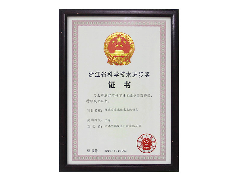 Certificate of Scientific and Technological Progress Award