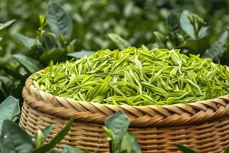 How to choose a tea leaf color sorter