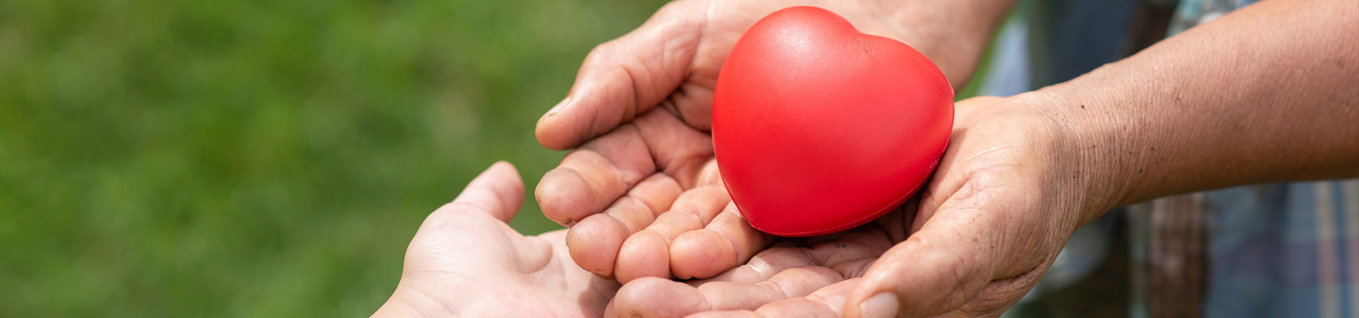Social Responsibility