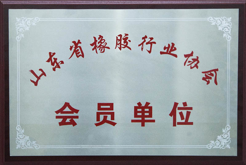 Member Unit of Shandong Rubber Industry Association