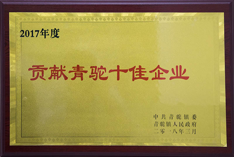 Contributing to the Top Ten Enterprises of Qingtuo