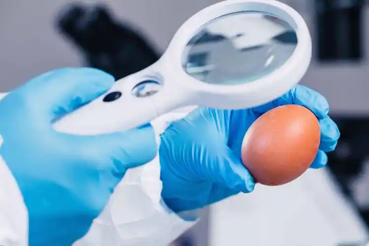 Health | Every matter about eggs is not a small matter