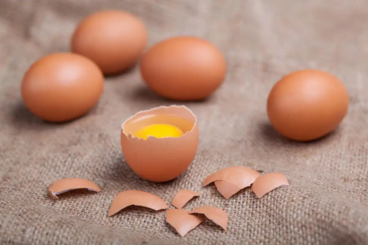 The nutrition and safety of eggs: Four basic facts you must know.