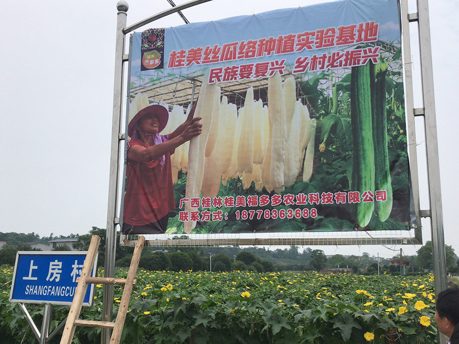 种植基地