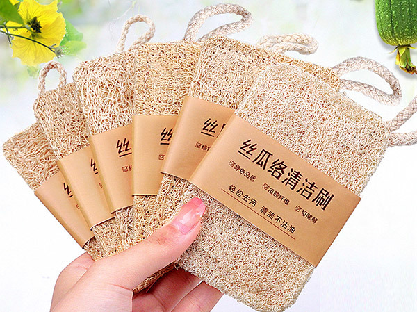 天然清洁好物 丝瓜络的多种用途及选购指南